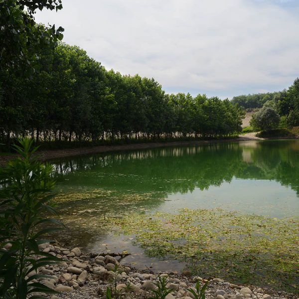 ripristino-ambientale-7